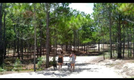 Camping Novas Palmeiras Florianopolis Exterior photo